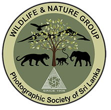 Wildlife Nature Group