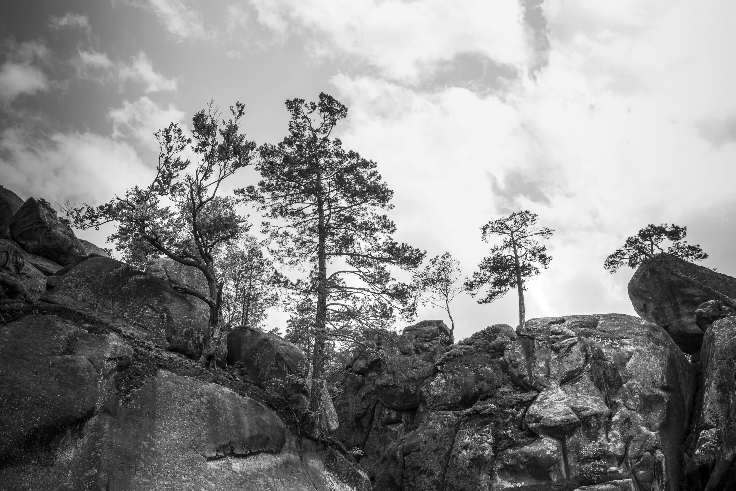 Black and White Photography